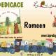 Dedicace romeen