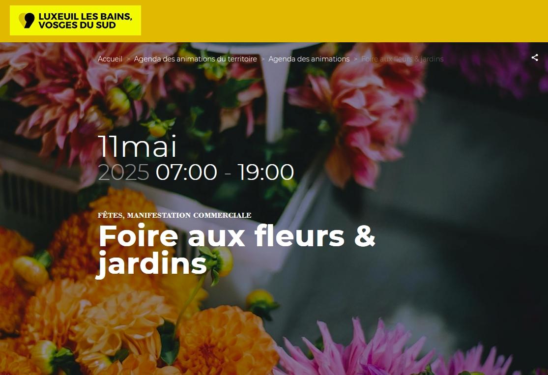 Salon luxeuil